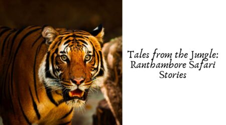 Tales from the Jungle: Ranthambore Safari Stories
