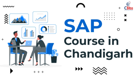 Best SAP training in Chandigarh
