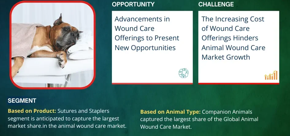 Animal Wound Care Market