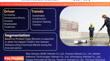 Vietnam Waterproofing Chemicals Market