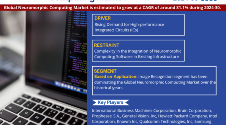 Neuromorphic Computing Market